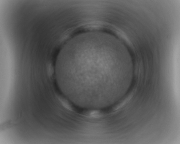 X0000116010173200911251128