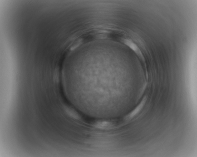 X0000116010174200911251128