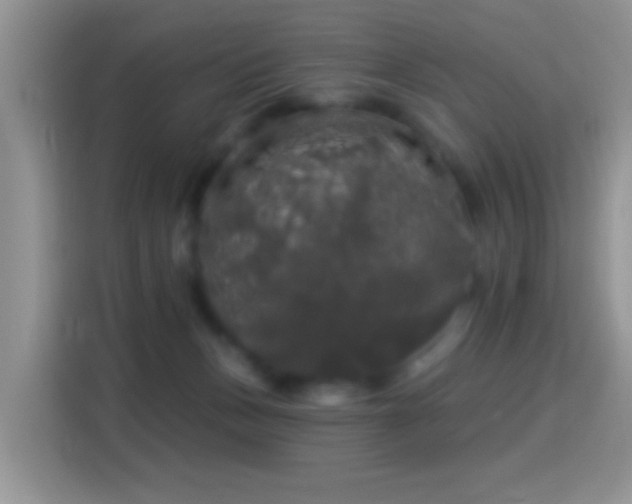 X0000116010175200911251128