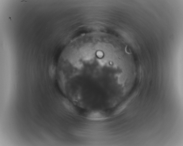 X0000116010177200911251128