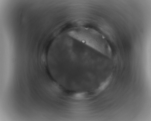 X0000116010178200911251128