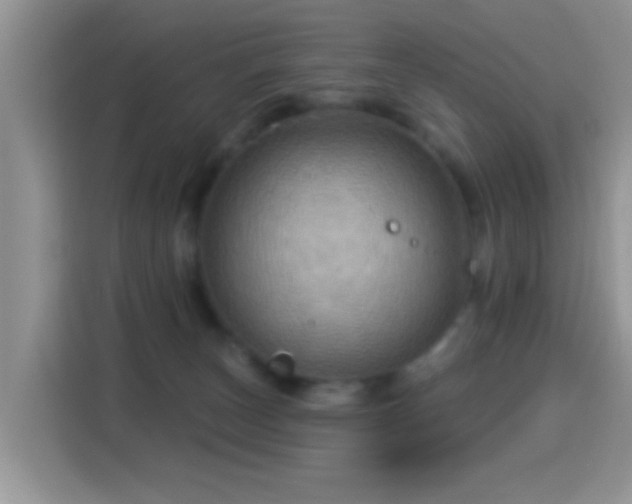 X0000116010179200911251128
