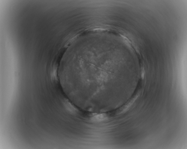 X0000116010185200911251128