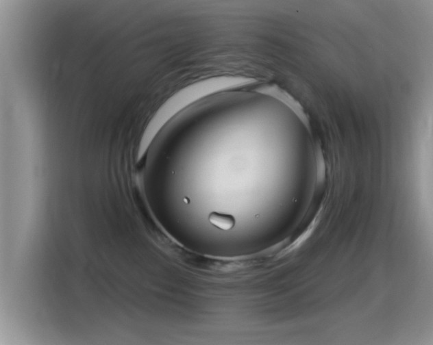 X0000116010186200911251128