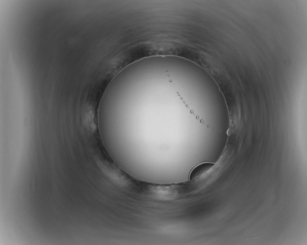 X0000116010187200911251128