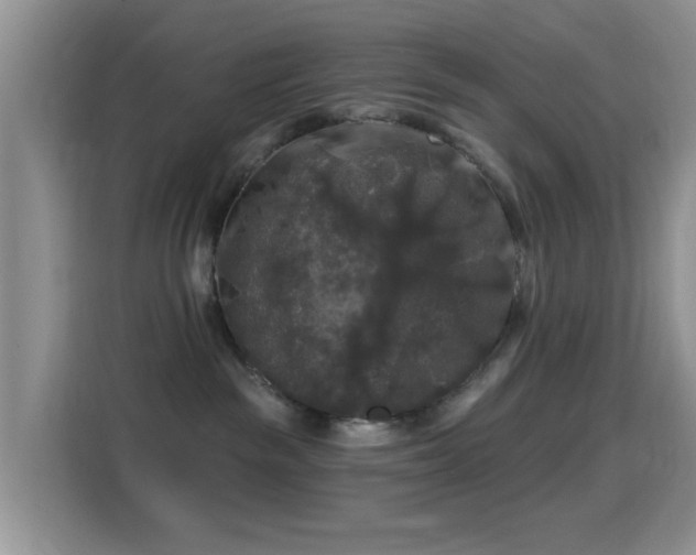 X0000116010189200911251128