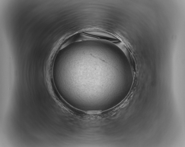 X0000116010193200911251127