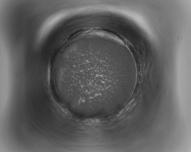 X0000116010194200911251127