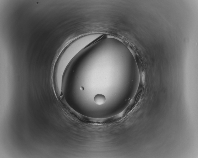 X0000116010195200911251127