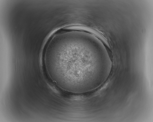 X0000116010200200911251127