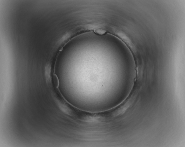 X0000116010201200911251127