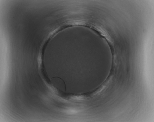 X0000116010202200911251127