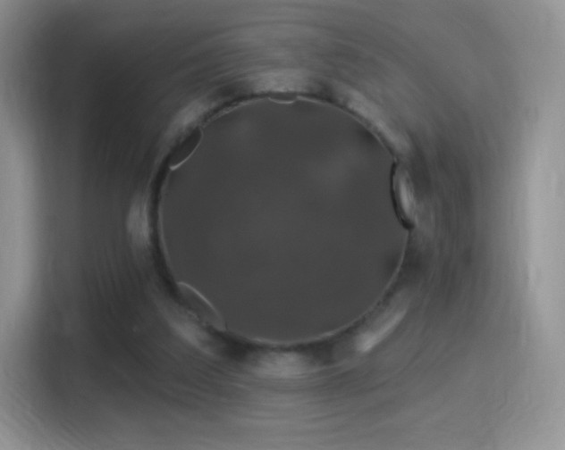 X0000116010203200911251127