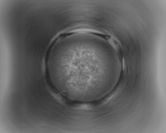 X0000116010204200911251127