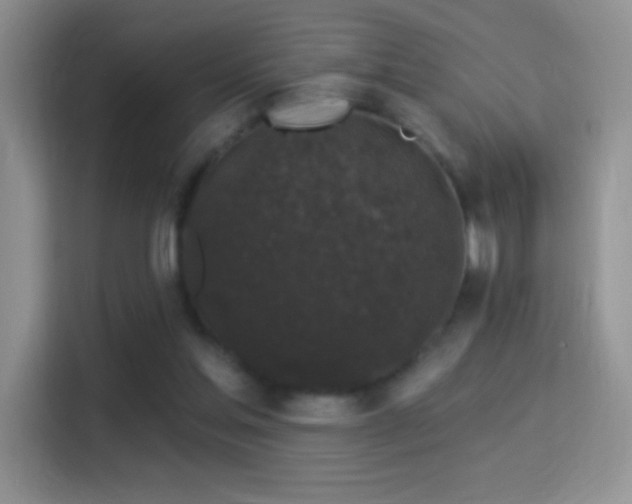 X0000116010205200911251127