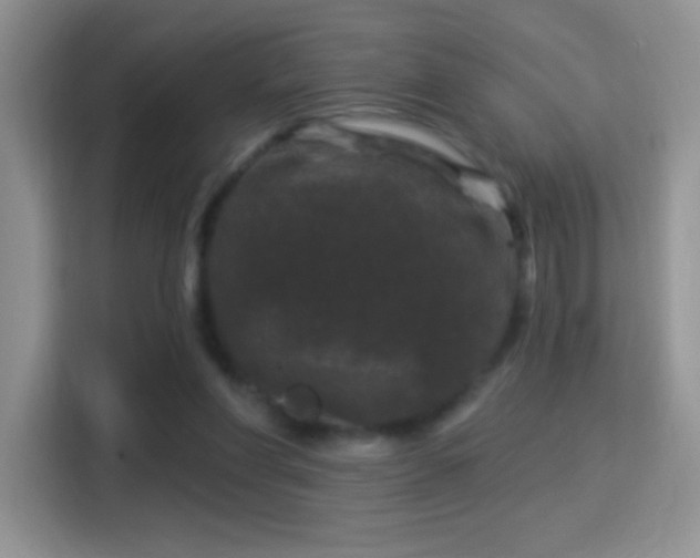 X0000116010206200911251127