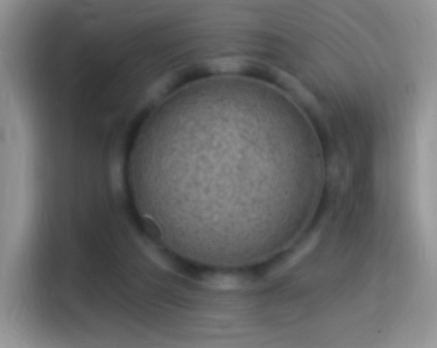 X0000116010209200911251127