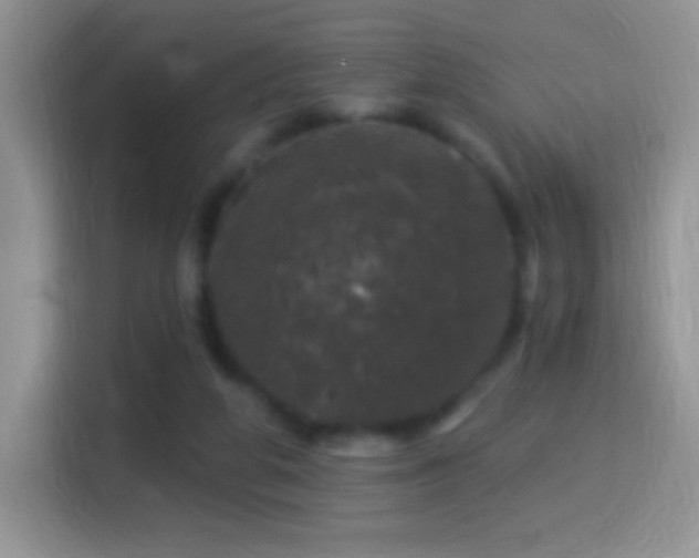 X0000116010210200911251127
