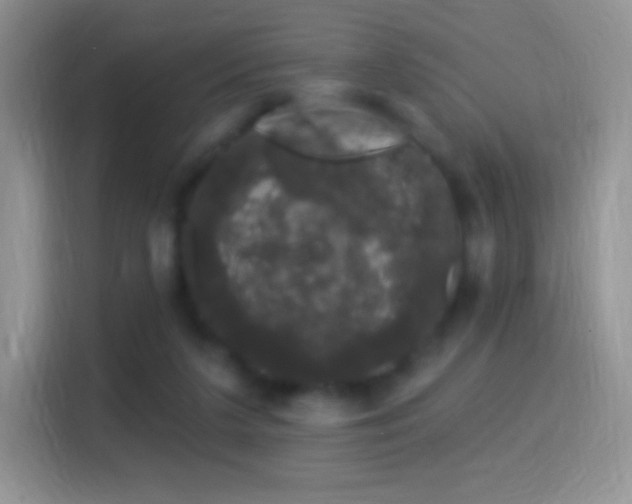 X0000116010211200911251127