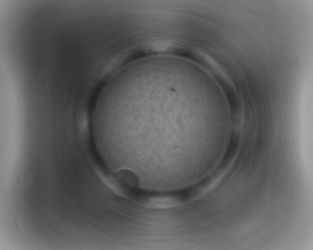 X0000116010213200911251127