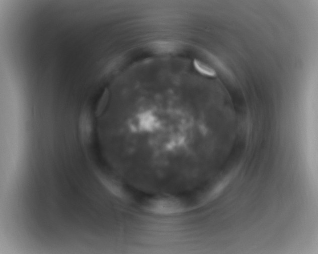 X0000116010215200911251127