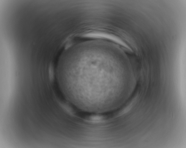 X0000116010216200911251127