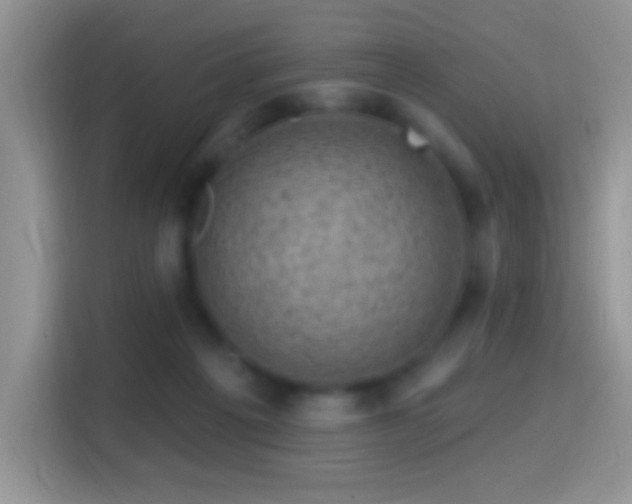 X0000116010217200911251127