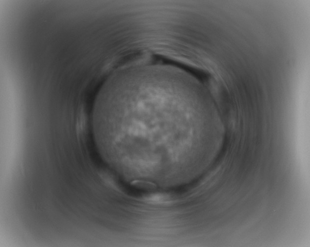 X0000116010220200911251127