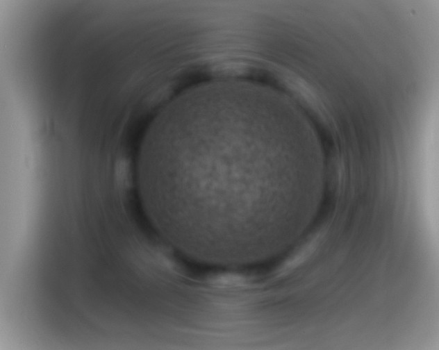 X0000116010224200911251127