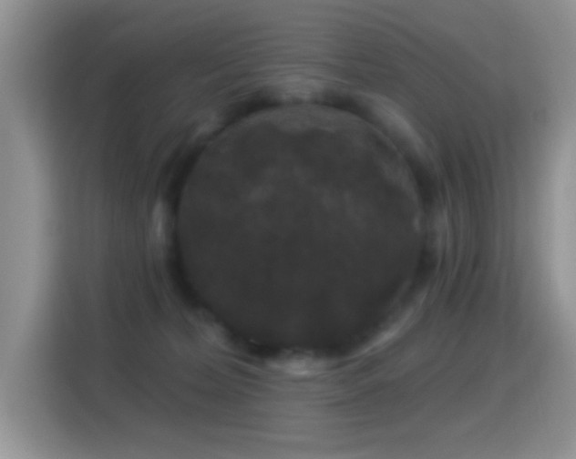 X0000116010228200911251127