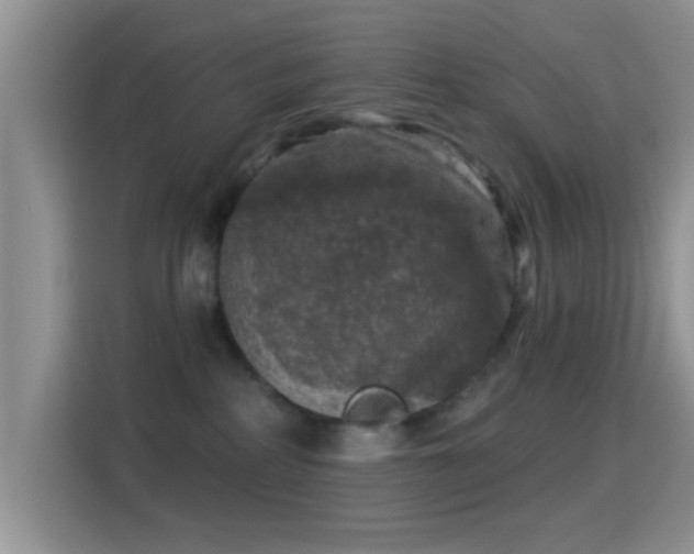 X0000116010234200911251127