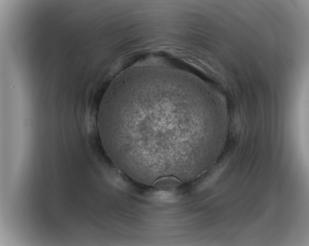 X0000116010236200911251127