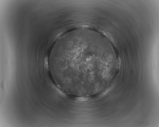 X0000116010238200911251127