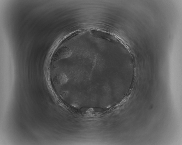 X0000116010241200911251126
