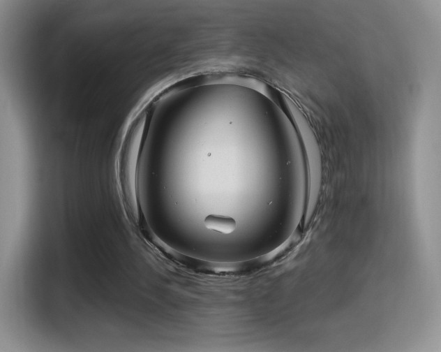 X0000116010244200911251126