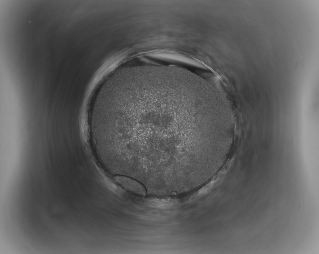 X0000116010245200911251126