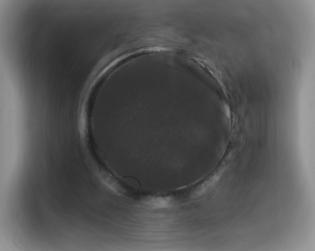 X0000116010247200911251126
