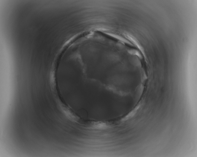 X0000116010249200911251126
