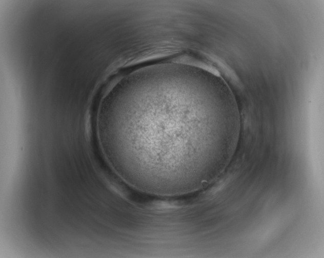 X0000116010250200911251126