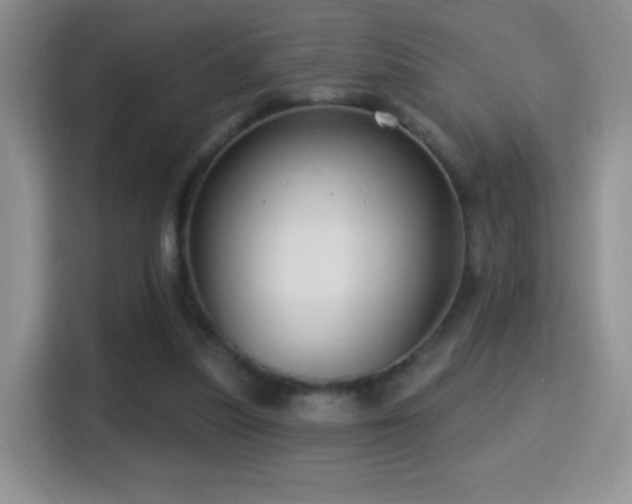 X0000116010251200911251126