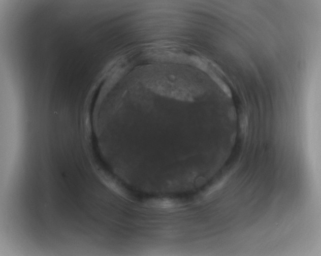 X0000116010254200911251126