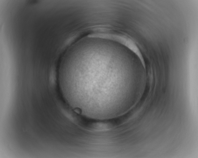 X0000116010255200911251126