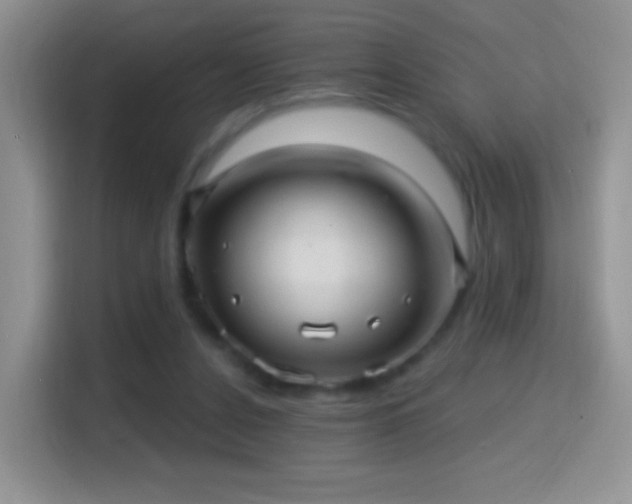 X0000116010256200911251126