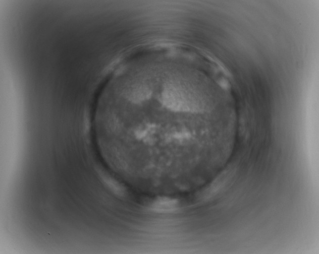 X0000116010257200911251126
