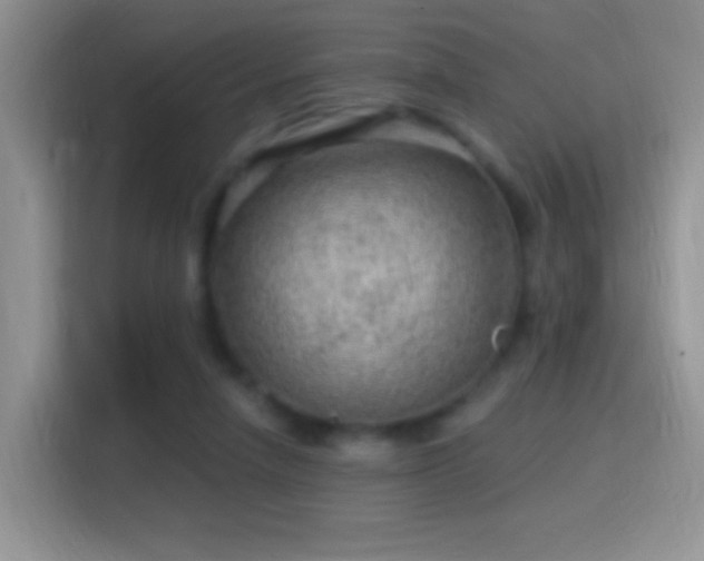 X0000116010258200911251126