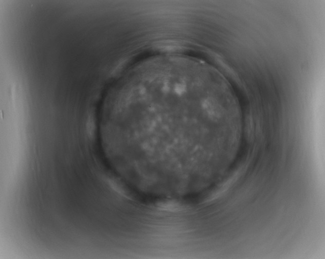 X0000116010259200911251126