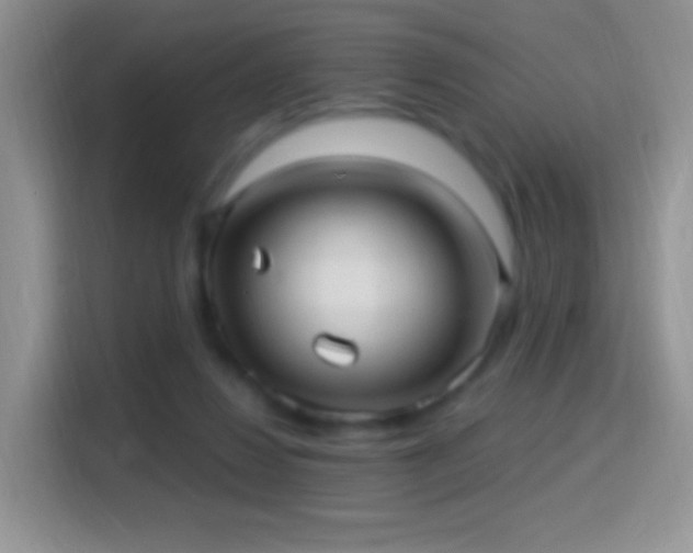 X0000116010260200911251126