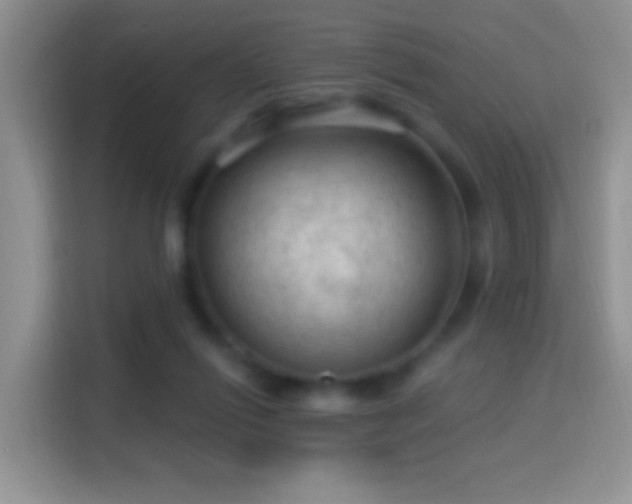 X0000116010262200911251126