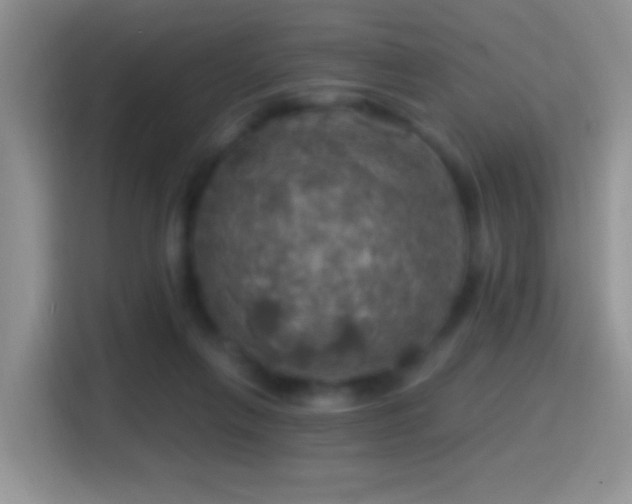 X0000116010263200911251126