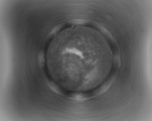 X0000116010264200911251126